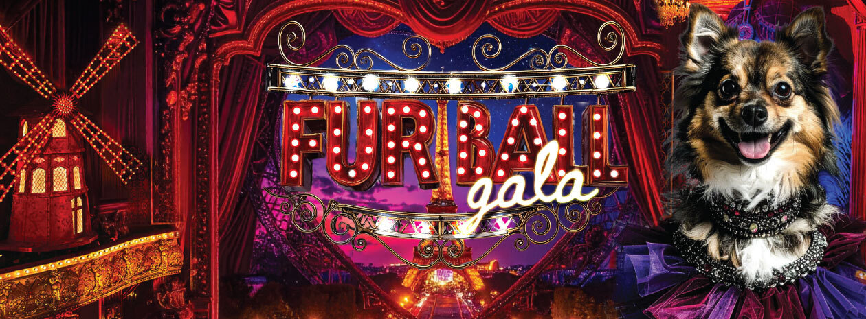 Fur Ball Gala 2025